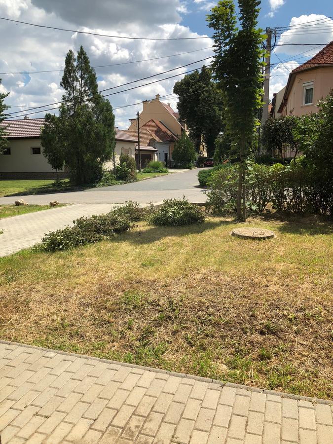 Family Residence Eger Exterior photo